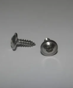 Plekikruvi 4,2 mm torx