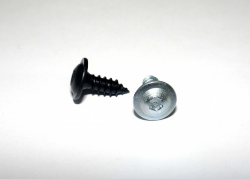 Plekikruvi 4,8 mm torx